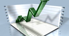 Statutory Audits